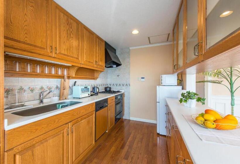 إستوديو قياسى, Enoca