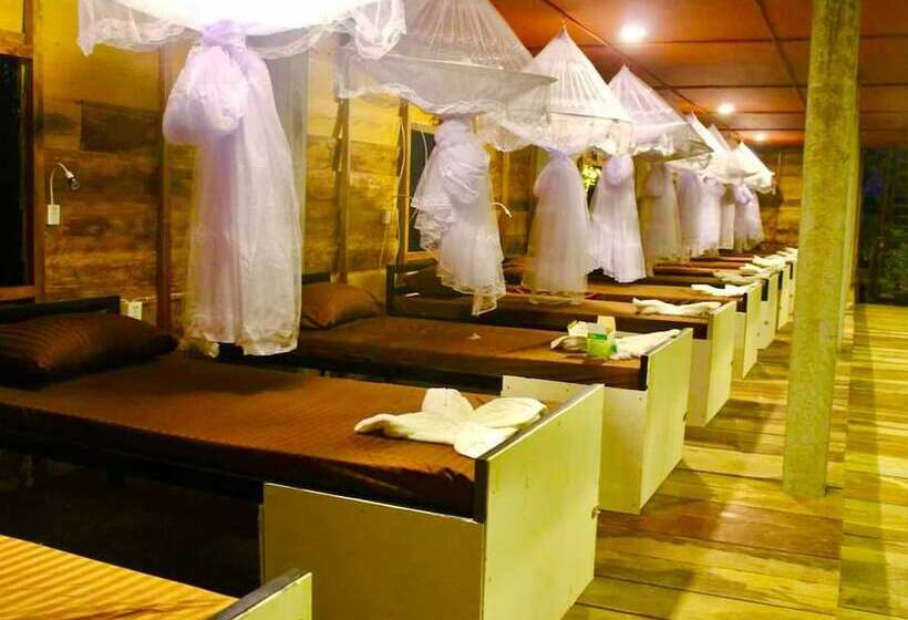 تختخواب در اتاق مشترک, The Cliff Hostel