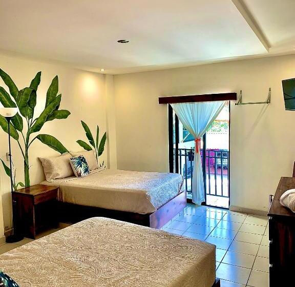 带观景的标准间, Cafénaranja Xilitla