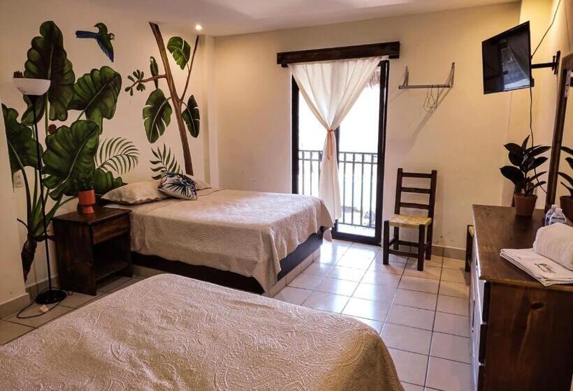 带观景的标准间, Cafénaranja Xilitla