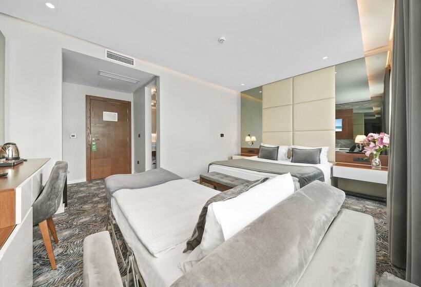 اتاق خانوادگی, Sky