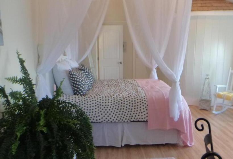 اتاق لوکس با چشمانداز دریا, Star Of The Sea B&b