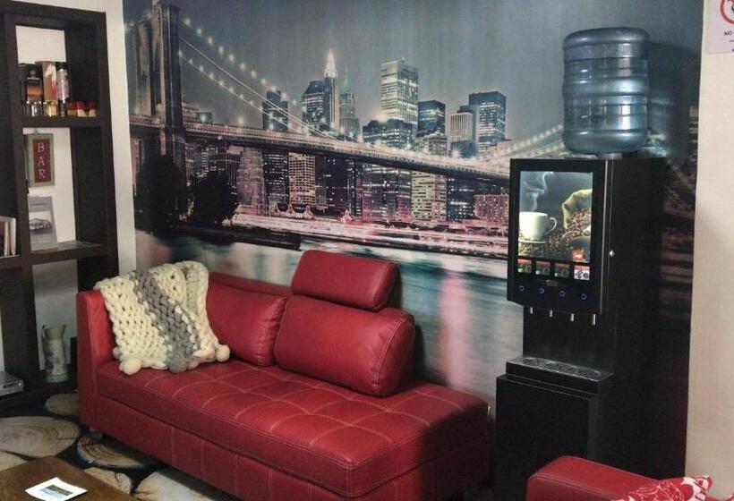 标准单人间, Aysen Austral