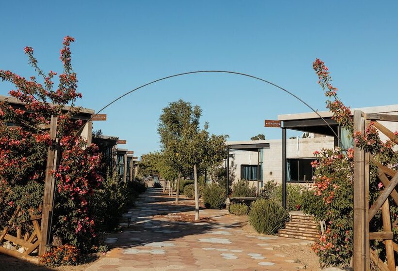 デラックスルーム, Los Amantes Valle De Guadalupe