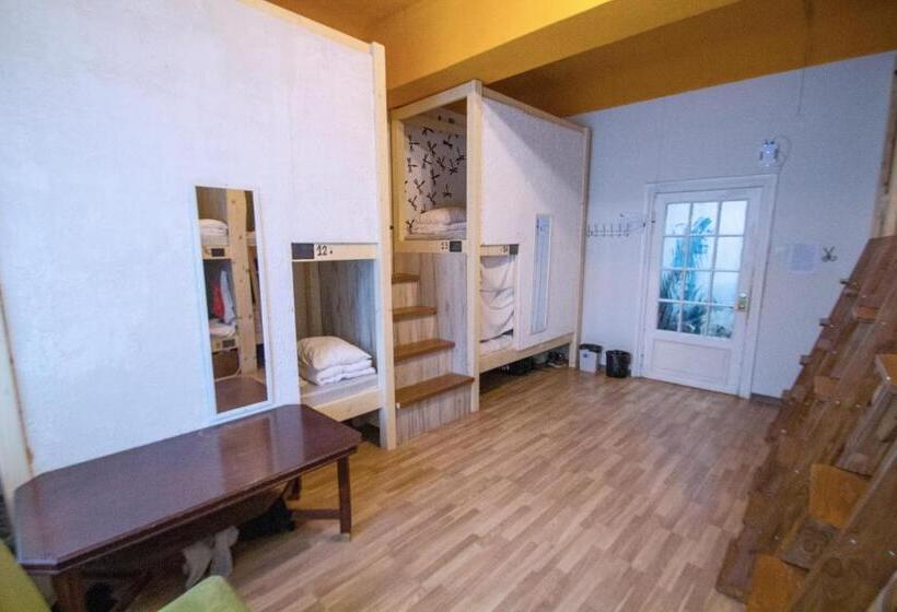 تختخواب در اتاق مشترک, Imaginary Hostel