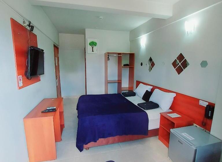 اتاق استاندارد, Madame Lynch Hotel Asuncion