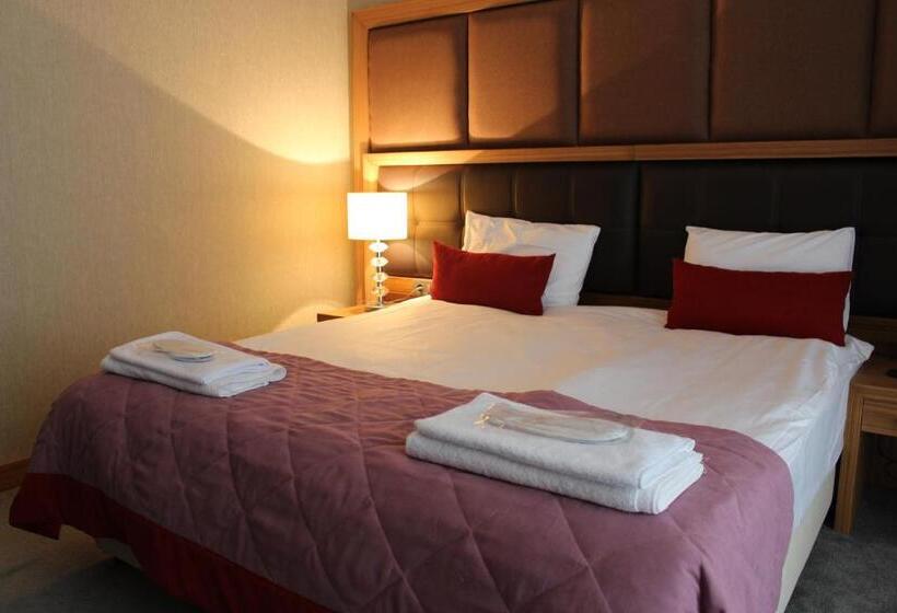 اتاق استاندارد, Sky Hotel Baku