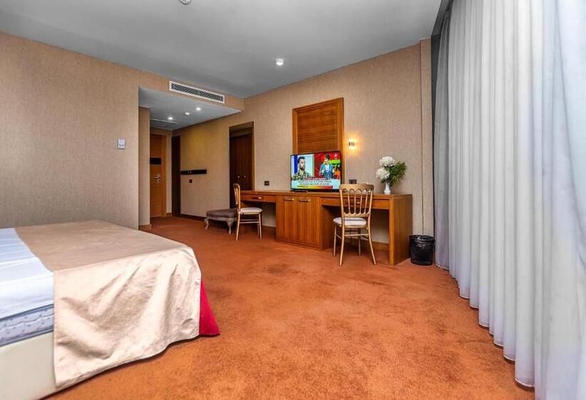 اتاق استاندارد, Sky Hotel Baku