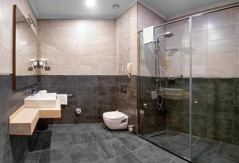 اتاق استاندارد, Sky Hotel Baku