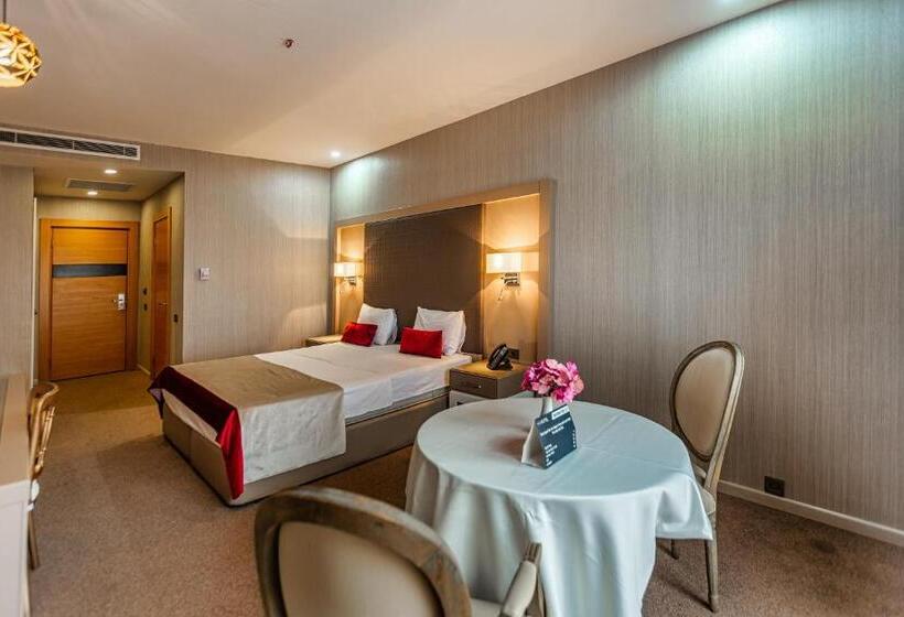 اتاق استاندارد, Sky Hotel Baku