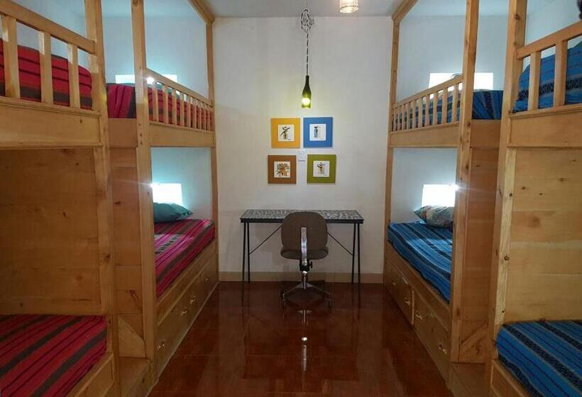 تختخواب در اتاق مشترک, Paraíso San José