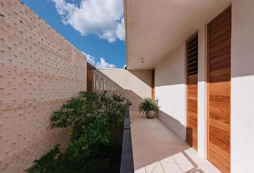 اتاق استاندارد با تخت بزرگ, Colonte Hotel Origen