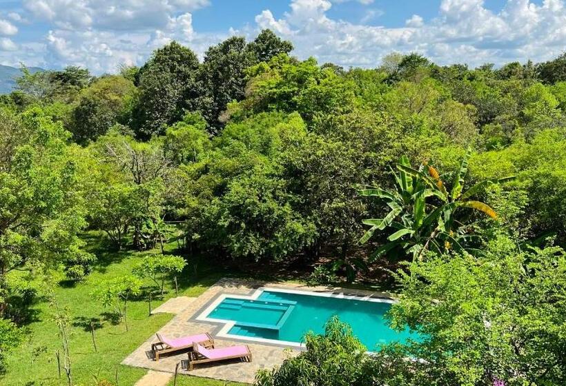 Pokój Jednoosobowy Standard z Widokiem, Into The Wild Sigiriya