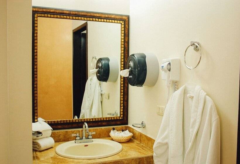 豪华套房, Gran Hotel Residencial Galerias