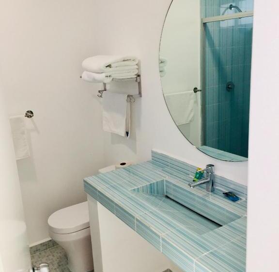 デラックスルーム, Palmas Cocoyoc