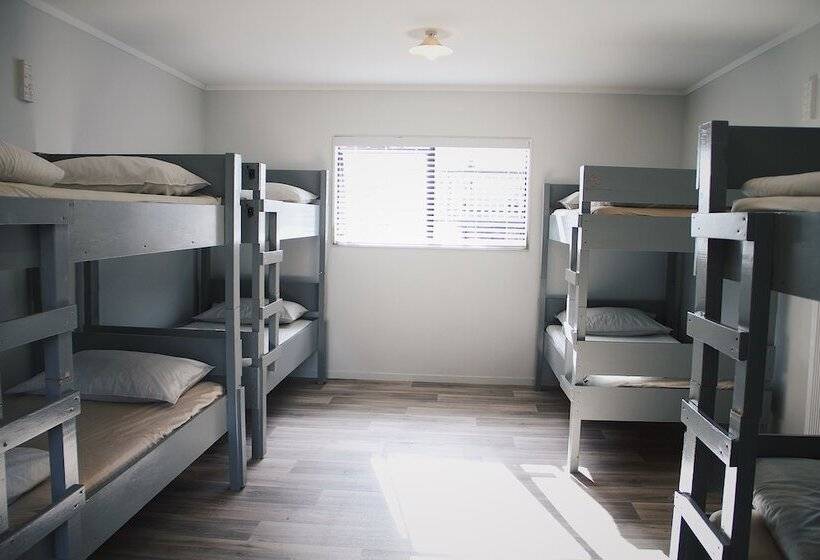 سرير فى غرفة مشتركه, Hugo & Carter S Backpackers & Motel