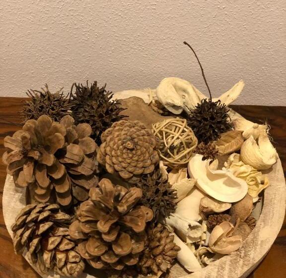 דירת חדר, Hayloft