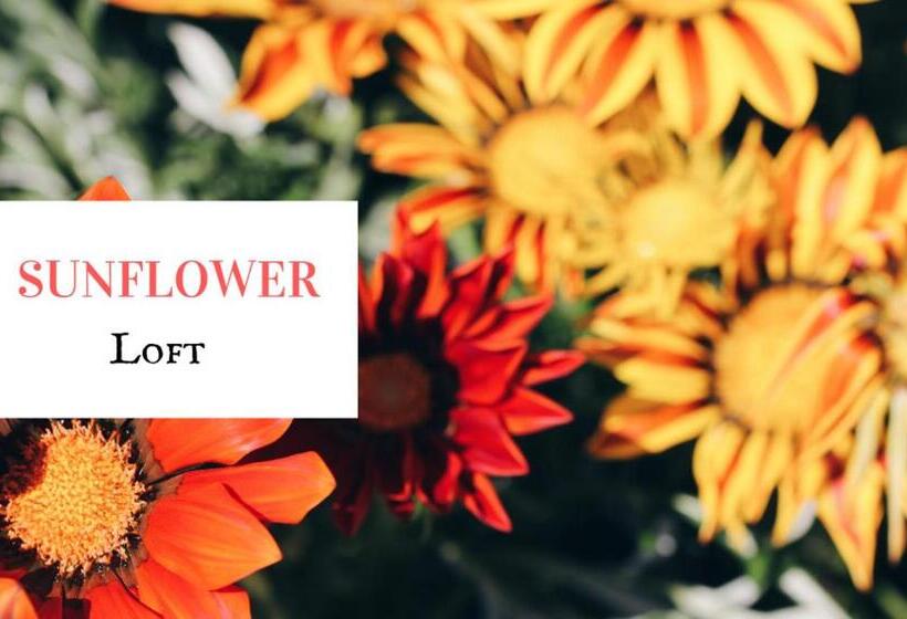 חדר סטנדרט, Hayloft