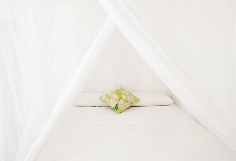 标准平房, Casa Del Pavo Real Boutique