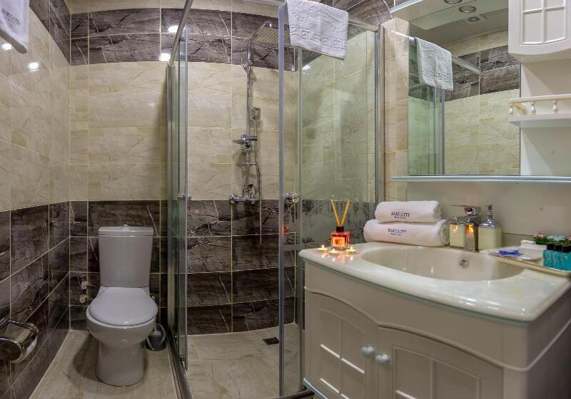 家庭间, Aston Inn Tasikmalaya