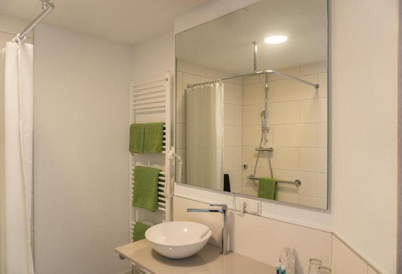 商务房间, Pension Haas Hotel Am Turm