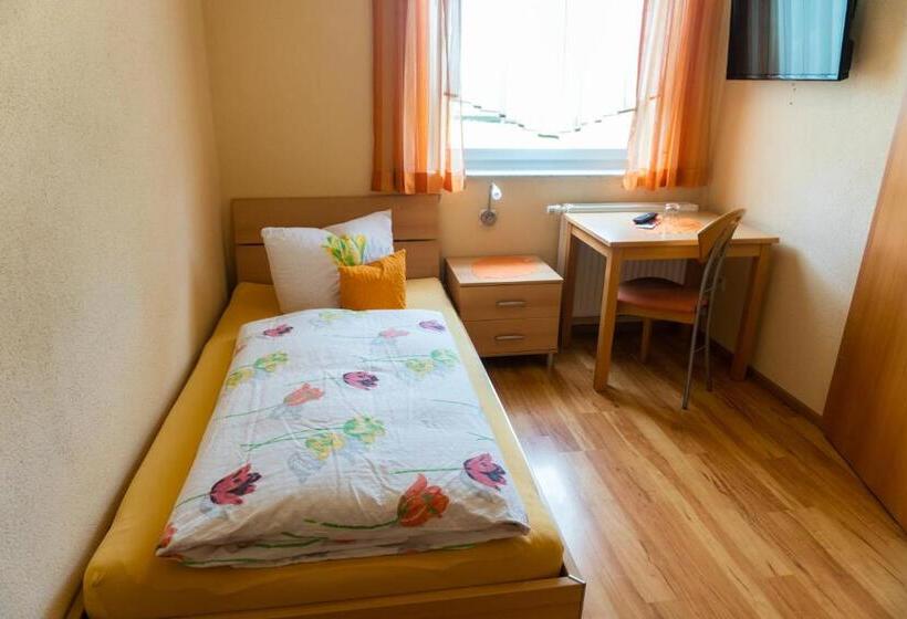 标准单人间, Pension Haas Hotel Am Turm