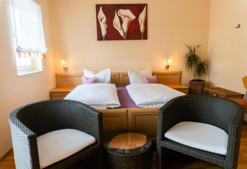 舒适型房间, Pension Haas Hotel Am Turm