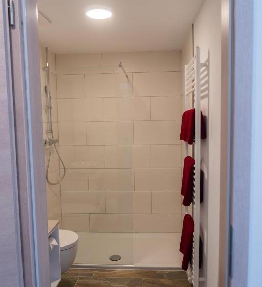 高级客房, Pension Haas Hotel Am Turm