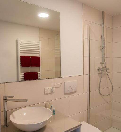 高级客房, Pension Haas Hotel Am Turm