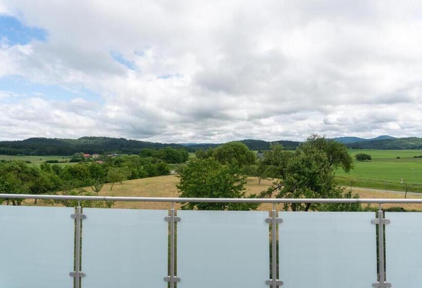 高级客房, Pension Haas Hotel Am Turm