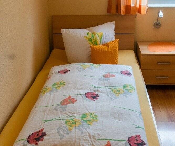 标准单人间, Pension Haas Hotel Am Turm