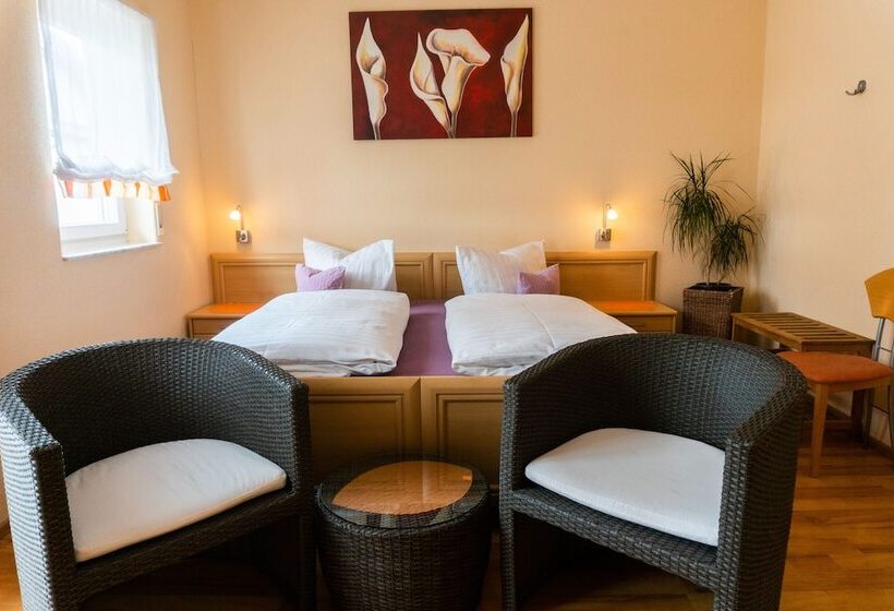 舒适型房间, Pension Haas Hotel Am Turm