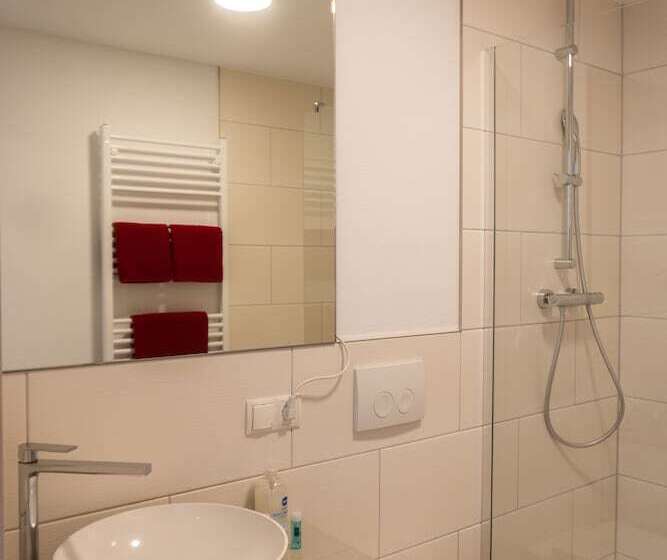 商务房间, Pension Haas Hotel Am Turm