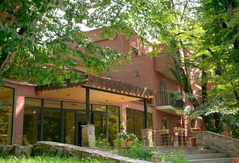 اتاق سوپریور, Wald Hotel Lagodekhi Rooms