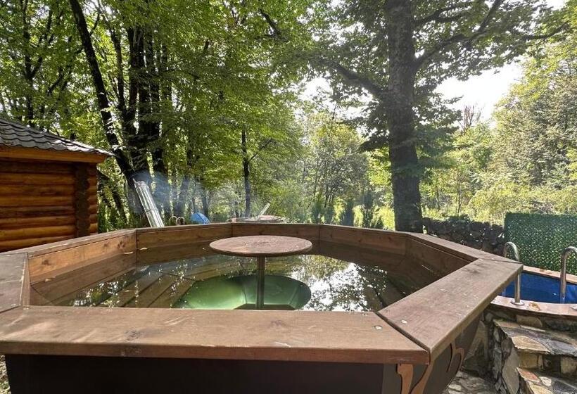 آپارتمان 1 خوابه, Wald Hotel Lagodekhi Rooms