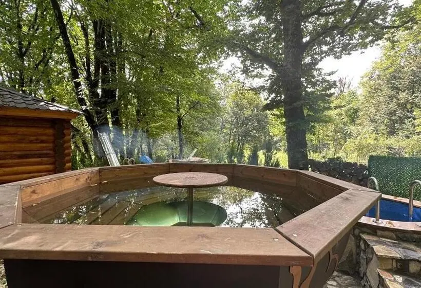 آپارتمان 1 خوابه, Wald Hotel Lagodekhi Rooms