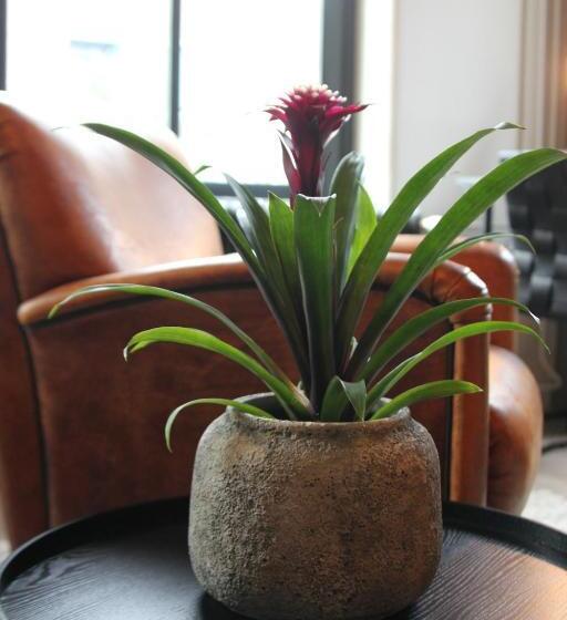 발코니 디럭스 룸, Het Spoorhuis Uithoorn