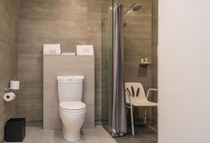 غرفة كلاسيكية سرير مزدوج, Four Points By Sheraton Puebla