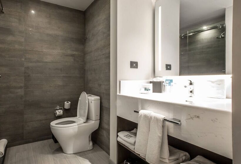 اتاق استاندارد با 2 تخت دوبل, Four Points By Sheraton Puebla
