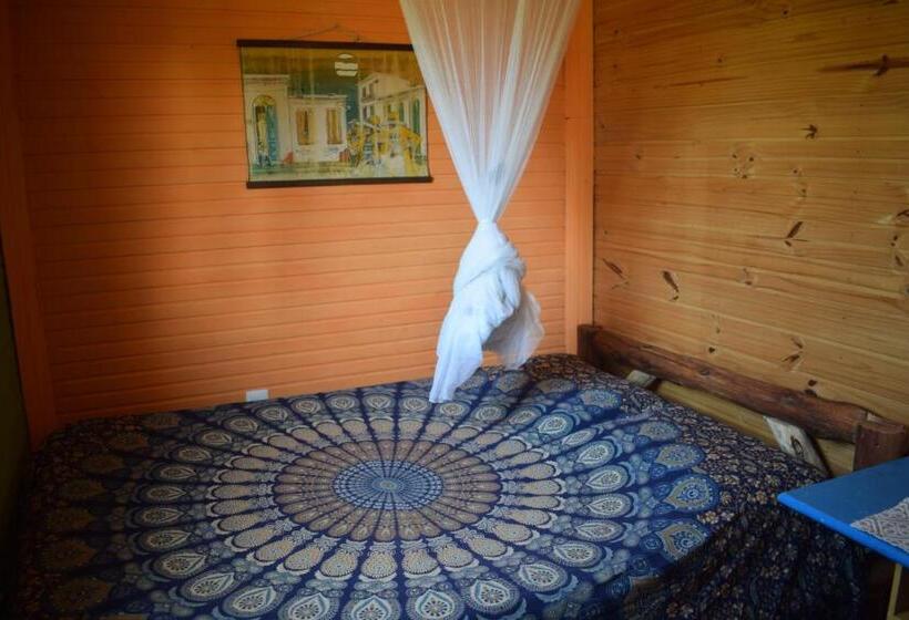 Номер Стандарт, Choclo