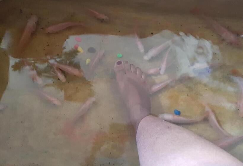 غرفة إقتصادية, Villa 67