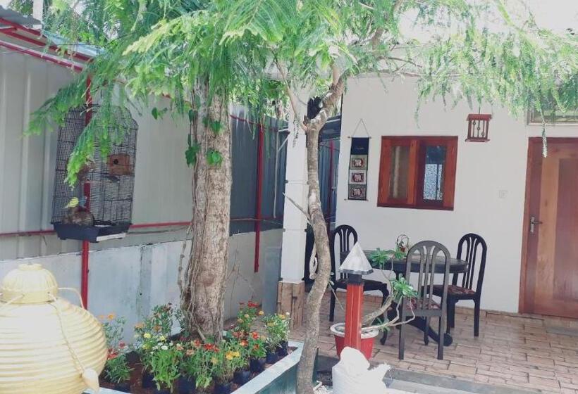 غرفة إقتصادية, Villa 67