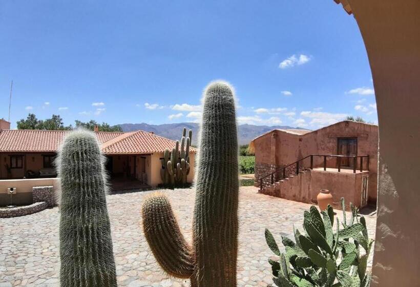 标准间, Estancia Colome