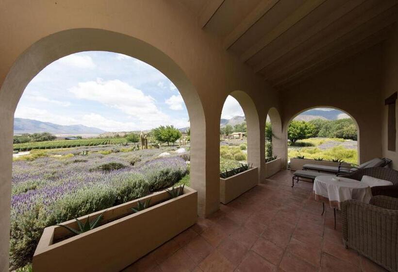 标准房带园景, Estancia Colome