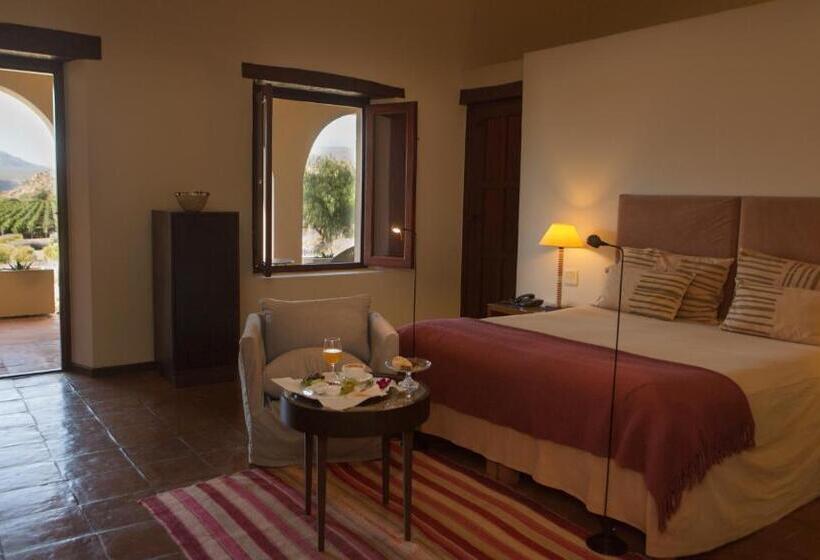 标准房带园景, Estancia Colome