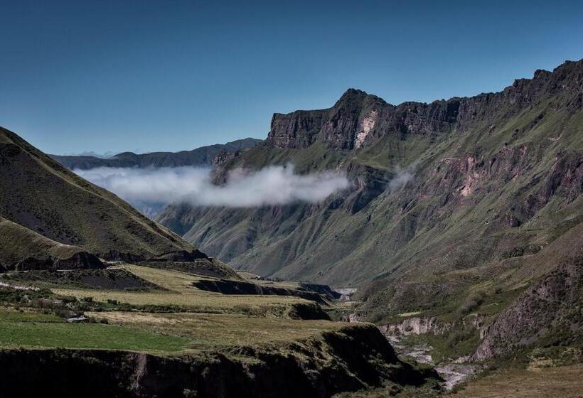 标准房带园景, Estancia Colome