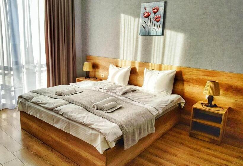 اتاق استاندارد با چشم‌انداز کوهستان, Sunshine Kazbegi