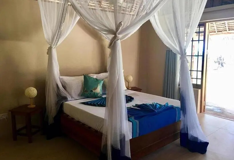 بانگلوی استاندارد با چشم‌انداز دریا, Driftwood Beach Lodge
