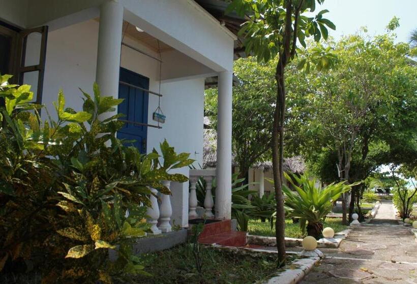 חדר סטנדרט נוף לגינה, Driftwood Beach Lodge