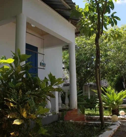 اتاق استاندارد با چشم‌انداز باغ, Driftwood Beach Lodge
